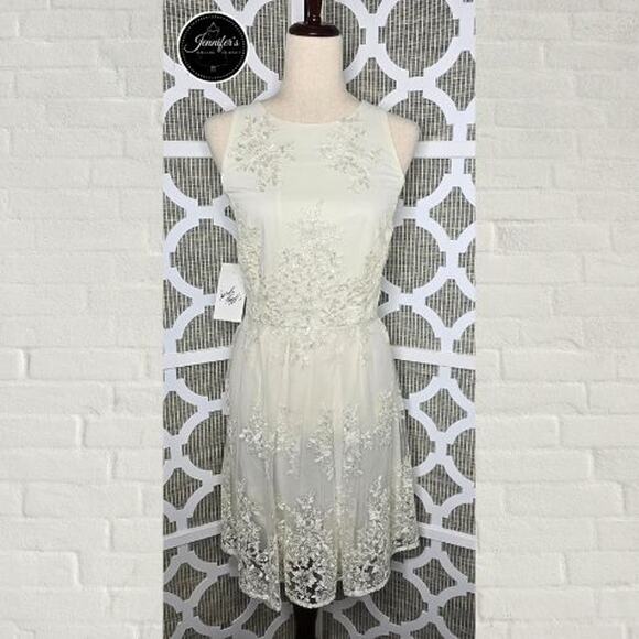 Taylor NWT Cream Embroidered Lace Sleeveless Fit & Flare Dress Size 10 - Picture 1 of 14